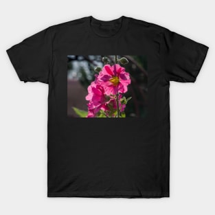 Pink Taos Hollyhock by Debra Martz T-Shirt